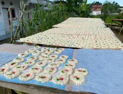 Kerupuk Rengginang Tenggarong Cemilan Gurih yang Kian Digemari